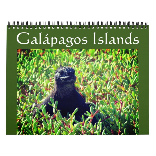 galapagosdjur 2025 kalender (Omslag)