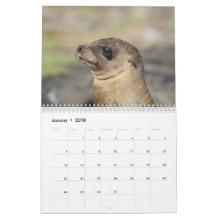 Galapagosen - väggkalender för 12 månad kalender