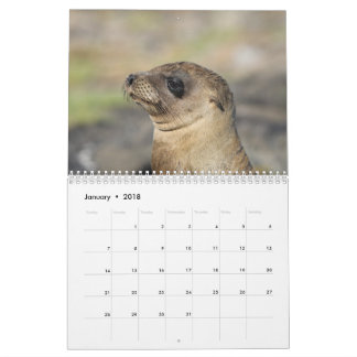Galapagosen - väggkalender för 12 månad kalender