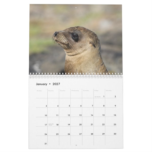 Galapagosen - väggkalender för 12 månad kalender (Jan 2027)