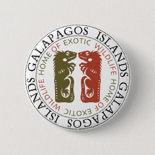 Galapagosöarna Iguanas Knapp