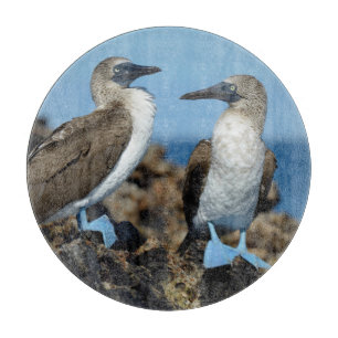 Galapagosöarna, Isabelaön