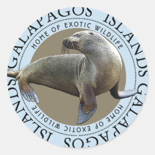 Galapagosöarna Sälar Sea Lejon Runt Klistermärke