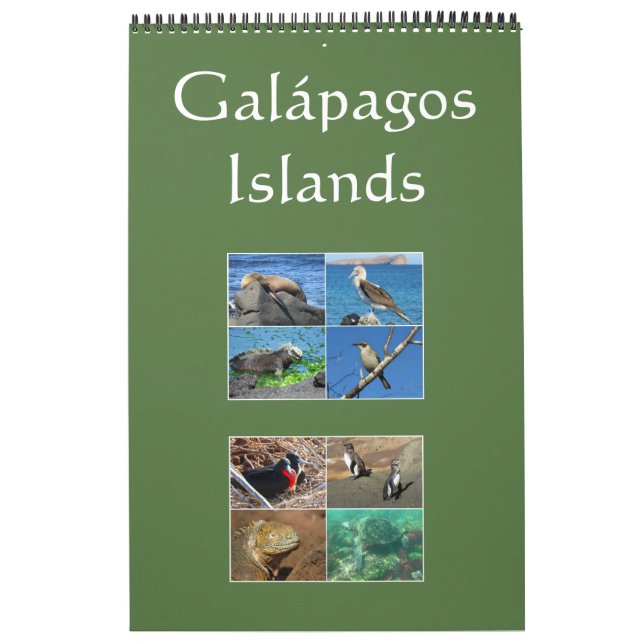 Galapagosöarnas vilda djur kalender (Omslag)