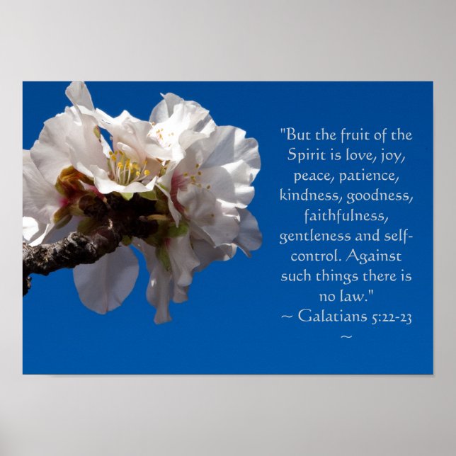 Galatianer 5:22,23 Poster (Framsidan)