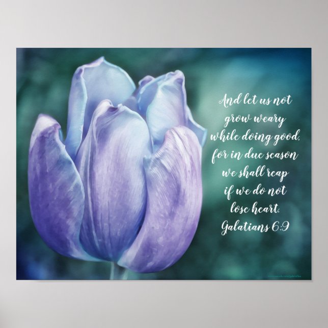 Galatianer 6:9 Blått Tulip Poster (Framsidan)