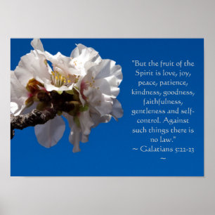 Galatians 5:22,23affisch poster