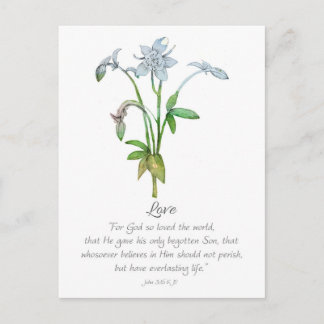 Galatians Fruit of the Spirit Love John 3 16 Vykort