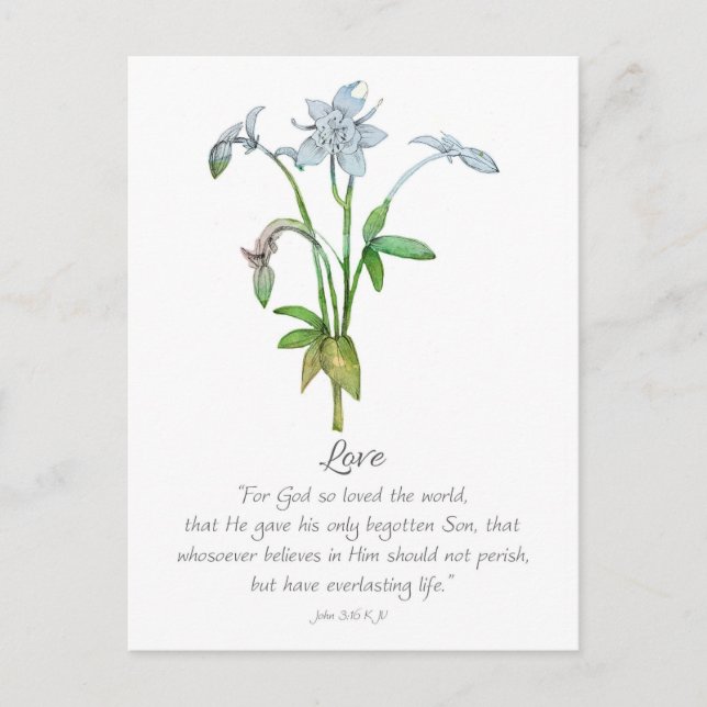 Galatians Fruit of the Spirit Love John 3 16  Vykort (Framsida)