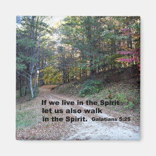 Galationer 5:25 Om vi lever i andan... Magnet
