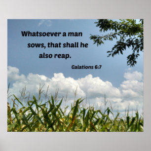 Galationer 6:7 Vem som helst... Poster