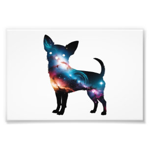 Galax Chihuahua Siluett Fototryck
