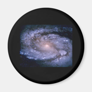 Galax M 100 Magnet