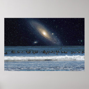 Galaxpelikan Poster