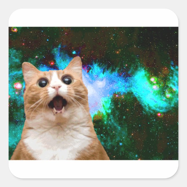 GALAXY CAT FYRKANTIGT KLISTERMÄRKE (Framsida)