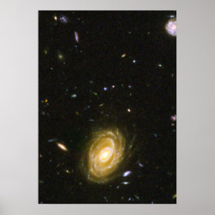 Galaxy HUDF-JD2 från Hubble Ultra Deep Fält Poster