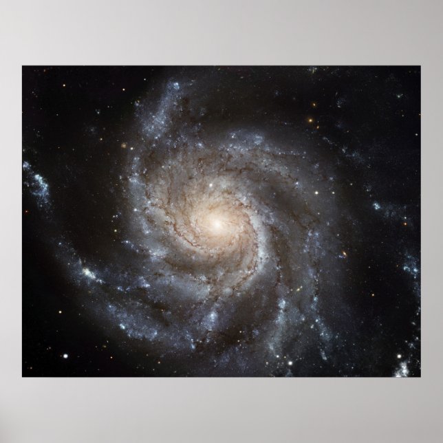 Galaxy M101 Poster (Framsidan)