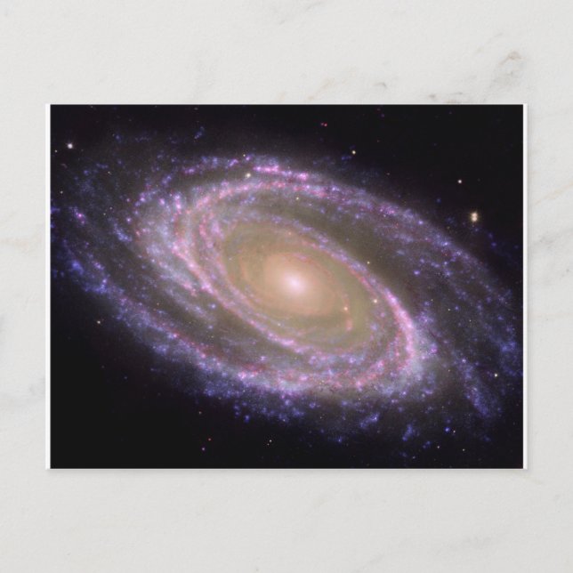 Galaxy Multiwavelength M81 Vykort (Framsida)