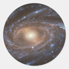 Galaxy NGC 2336 Stickers Runt Klistermärke