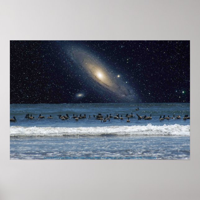 Galaxy Pelicans Poster (Framsidan)
