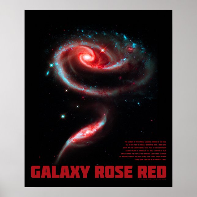 Galaxy Rose Röd Poster (Framsidan)