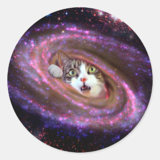Galaxy Space Kats LOL Funny Sticker Runt Klistermärke