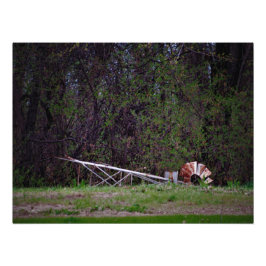 "Gale Pushed Me" Fototryck