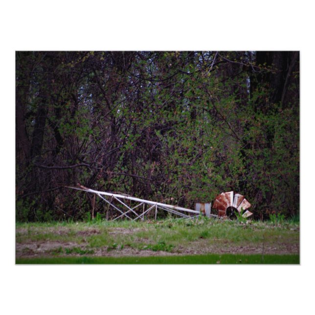 "Gale Pushed Me" Fototryck (Framsidan)