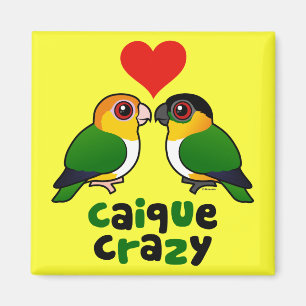 Galen Caique Magnet