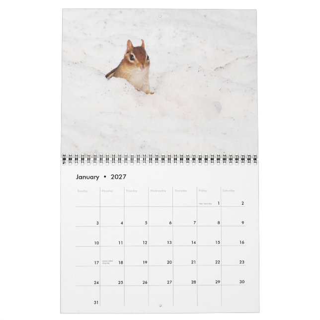 Galen gullig kalender för jordekorrar 2015 (Jan 2027)