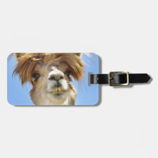 Galen hårAlpaca Bagagebricka