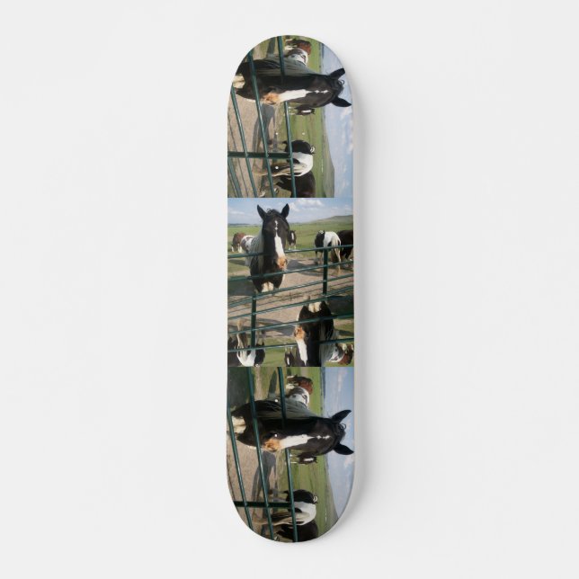 Galen häst Sk8 Old School Skateboard Bräda 21,6 Cm (Framsida)