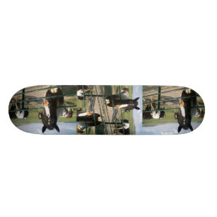 Galen häst Sk8 Old School Skateboard Bräda 21,6 Cm