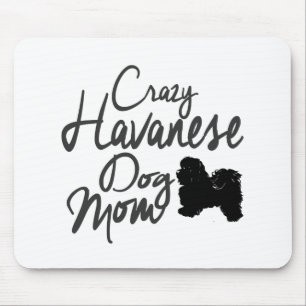 Galen Havanese hundmamma Musmatta