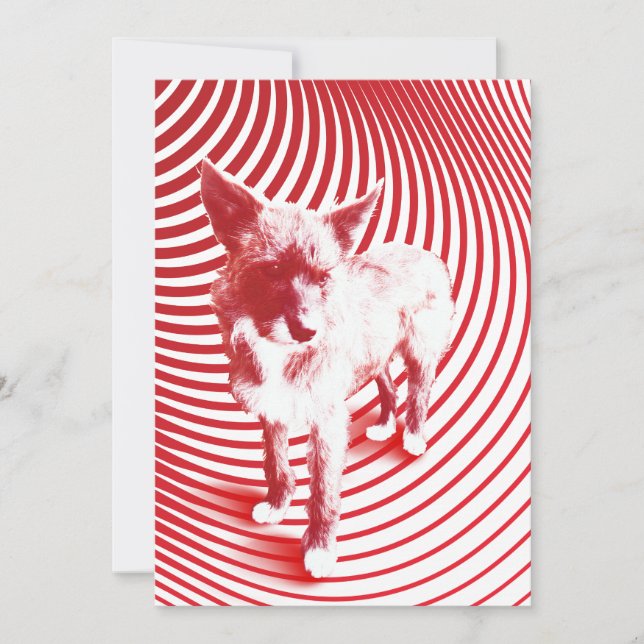 galen hazie inbjudningar (Framsida)