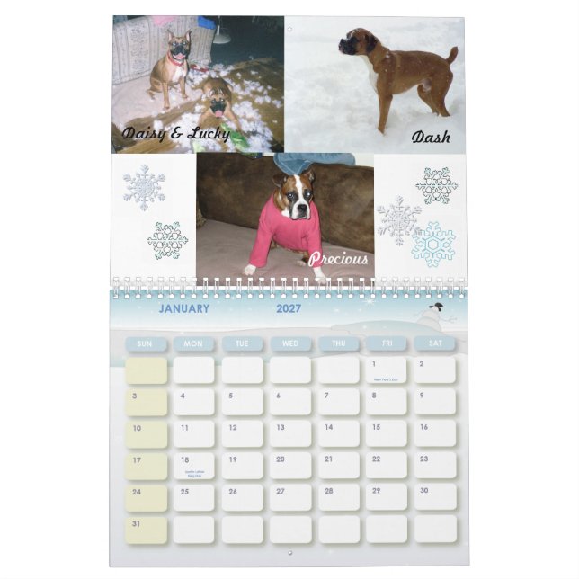 Galen kalender 2011 för boxare (Jan 2027)