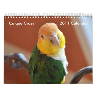 Galen kalender 2011 för Caique