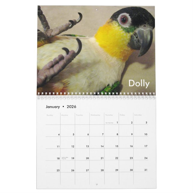 Galen kalender 2011 för Caique (Jan 2026)