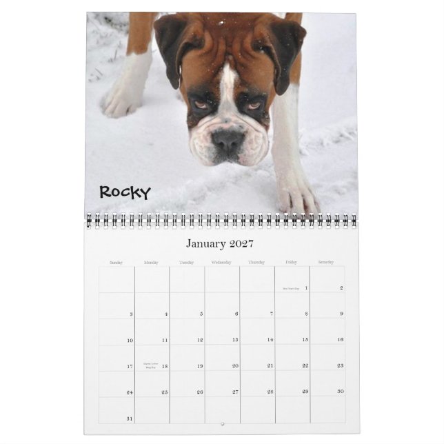 Galen kalender 2012 för boxare (Jan 2027)
