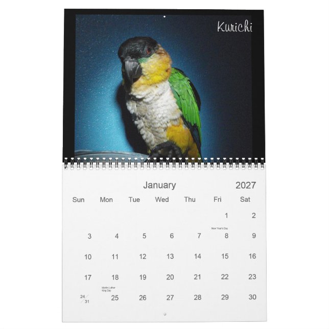 Galen kalender 2012 för Caique (Jan 2027)