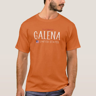 Galena Illinois United Stater Oversized T Shirt