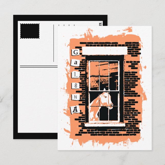 galenfönsterhäst vykort (Fram/baksida)