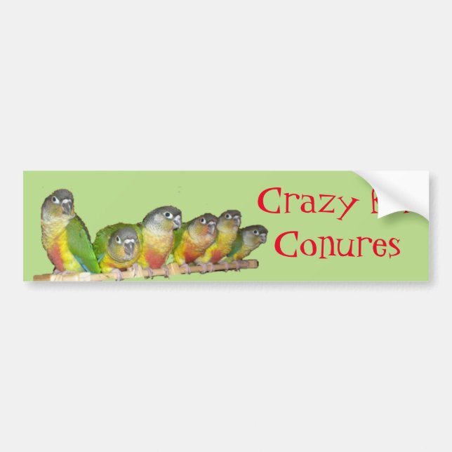 Galet för Conures! Bildekal (Framsidan)