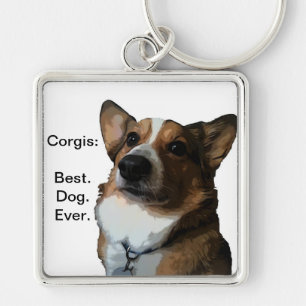 Galet för Corgis Fyrkantig Silverfärgad Nyckelring