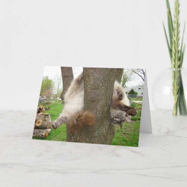 GALET KATTVALENTINESKORT HELGKORT (Framsida)