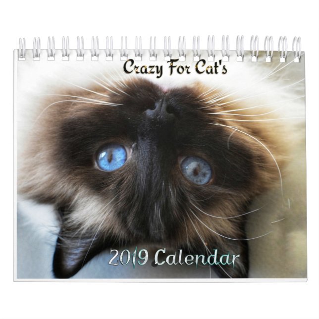 Galet om Cats 2023-väggskalender Kalender (Omslag)