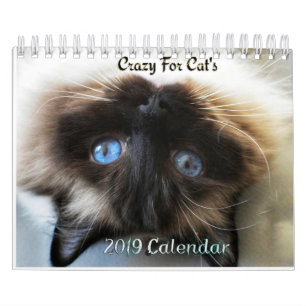 Galet om den kattväggkalendern 2019 kalender