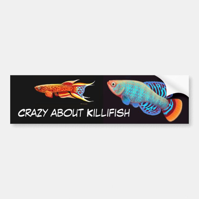 Galet om Killifishbildekal Bildekal (Framsidan)
