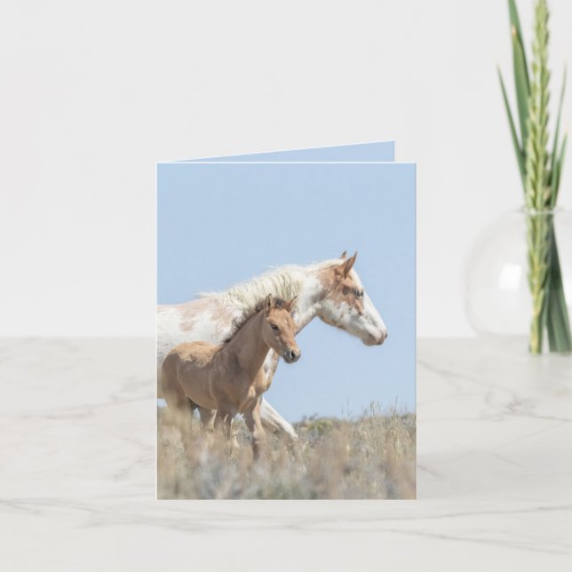 Galetea och Foal Vild Horse Greeting Card Inbjudan (Framsida)