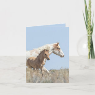 Galetea och Foal Vild Horse Greeting Card Inbjudan